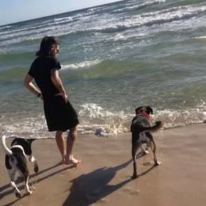 Meet your Posher, David